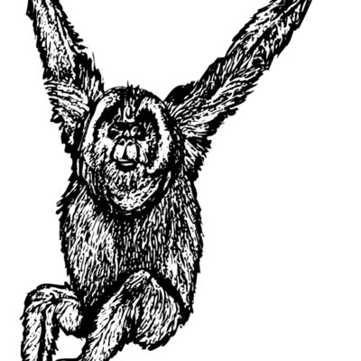 MONK005 Thumbnail