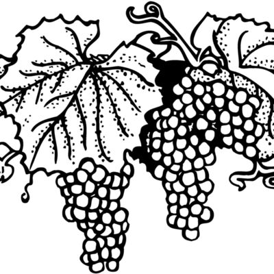 FRUIT005 Thumbnail