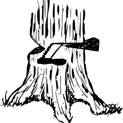 TIMBER13 Thumbnail