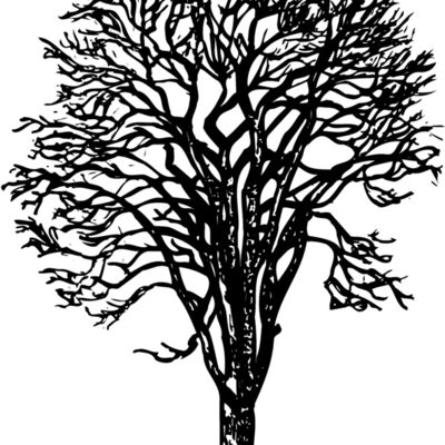 TREE0022 Thumbnail